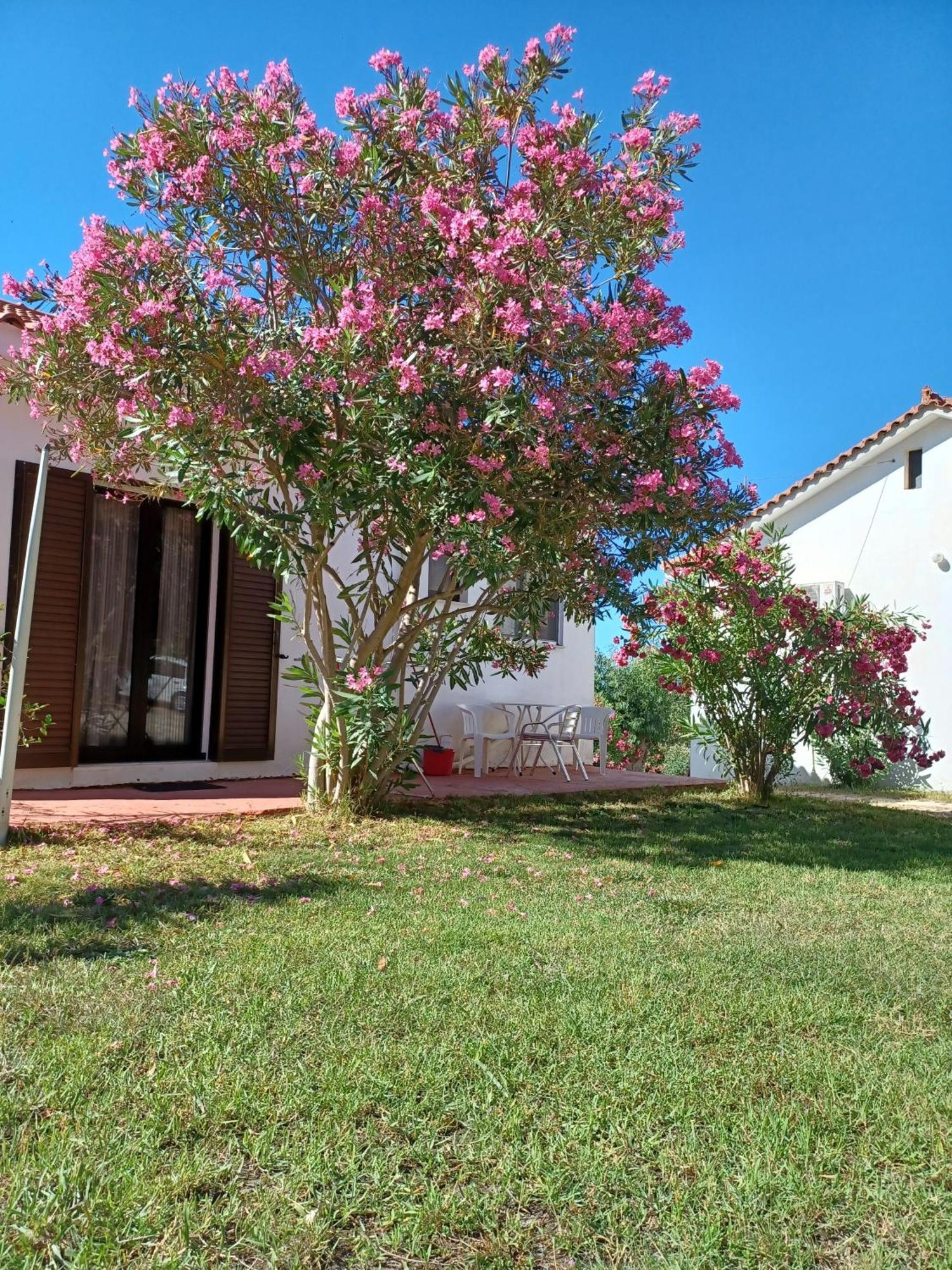 Nerissa Bungalow 2, Two Bedroom House With Sea View Spartià Buitenkant foto